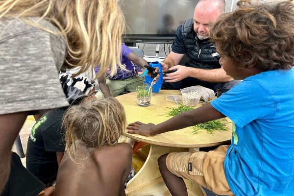 A small group of children sit around a low wooden table, facing away from the camera. In the background is a man pressing plants with a clamp. On the table is a glass of water with grass inside, and other small piles of grasses.
